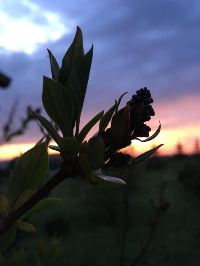 Wygodny Murowany Domek- Nowy Dąbki Exteriér fotografie