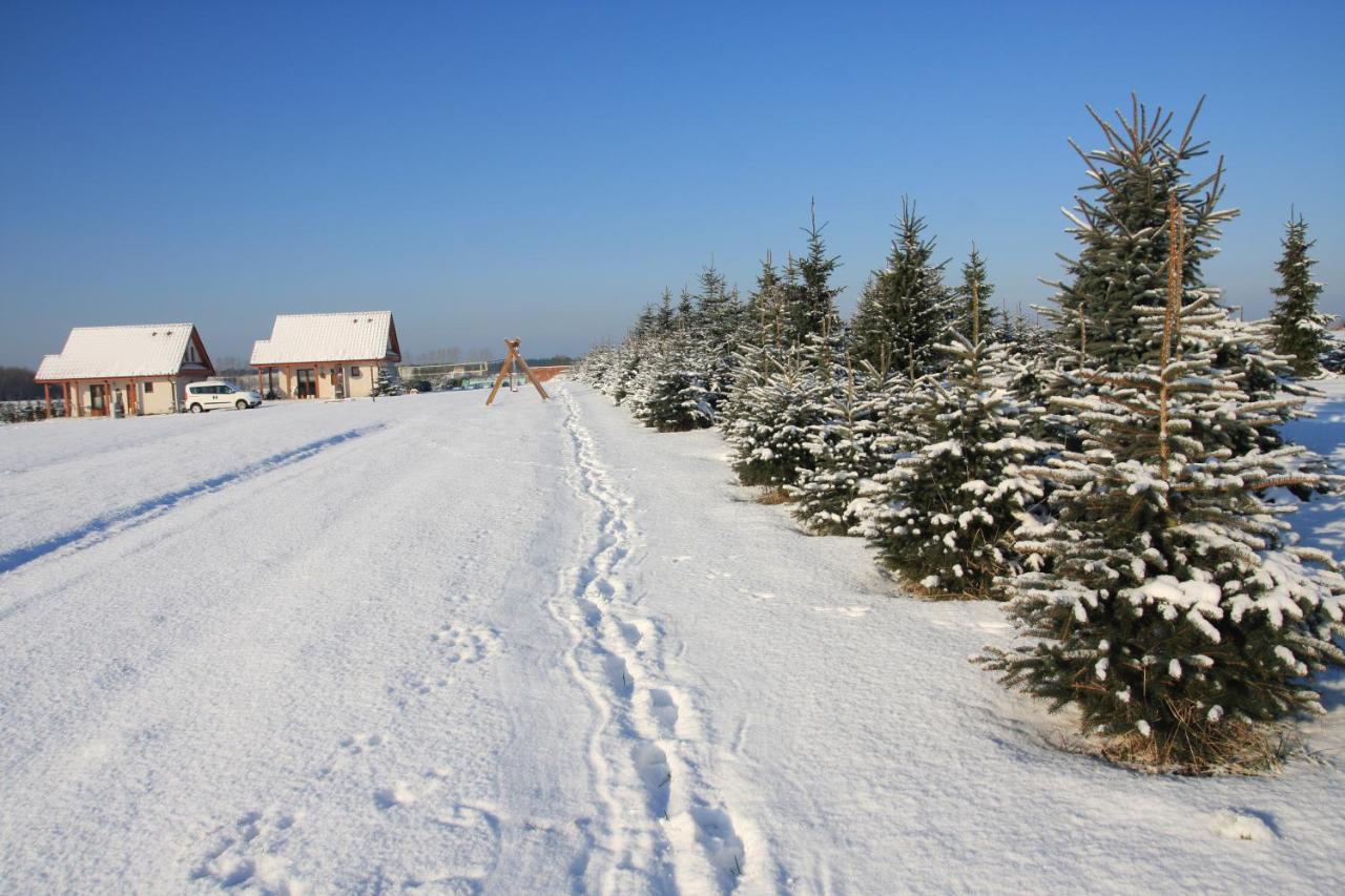 Wygodny Murowany Domek- Nowy Dąbki Exteriér fotografie