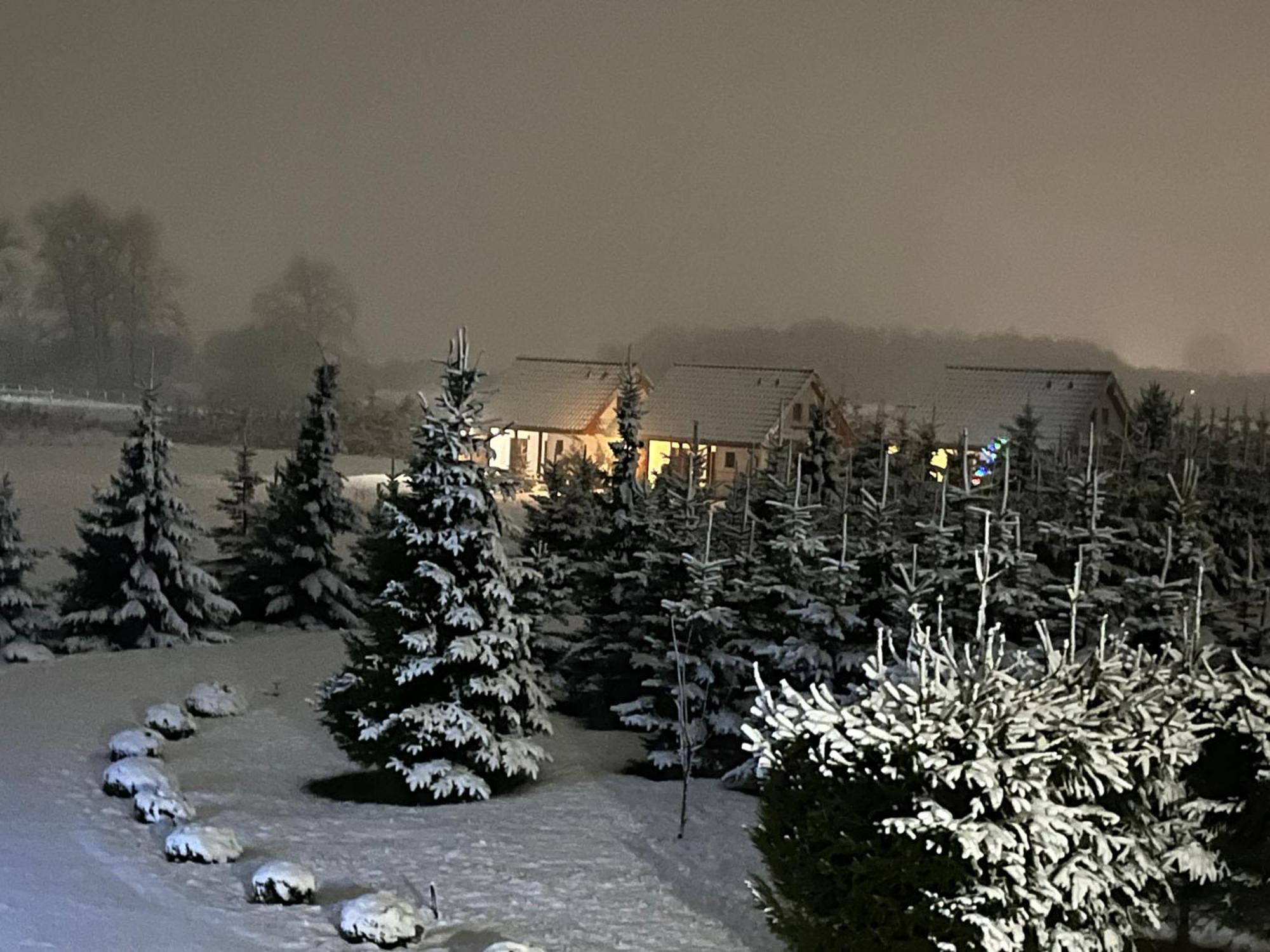 Wygodny Murowany Domek- Nowy Dąbki Exteriér fotografie