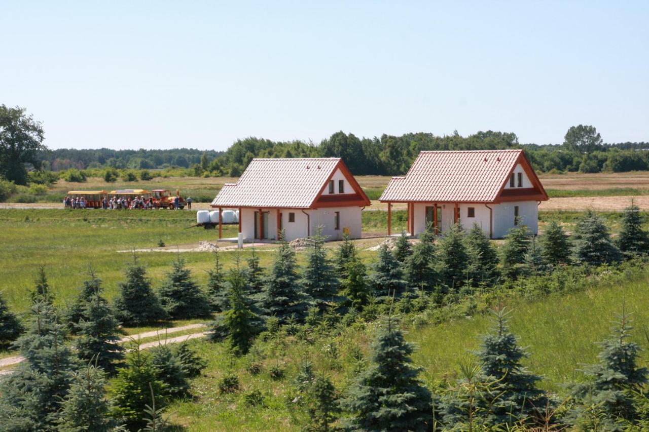 Wygodny Murowany Domek- Nowy Dąbki Exteriér fotografie