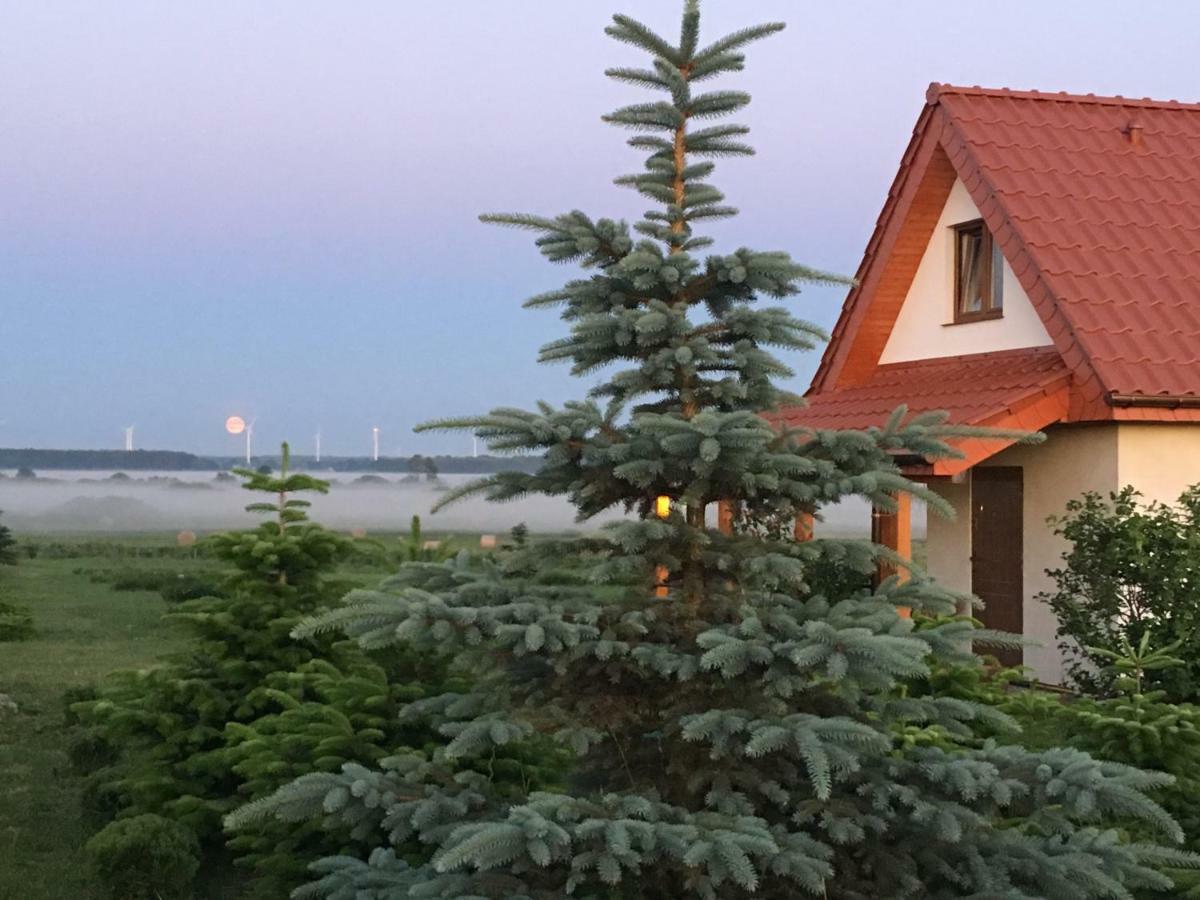 Wygodny Murowany Domek- Nowy Dąbki Exteriér fotografie